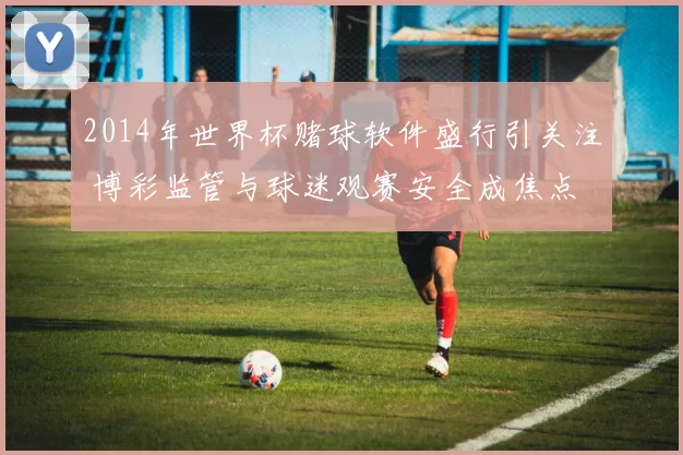 2014年世界杯赌球软件盛行引关注 博彩监管与球迷观赛安全成焦点