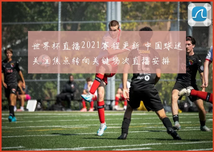 世界杯直播2021赛程更新 中国球迷关注焦点转向关键场次直播安排