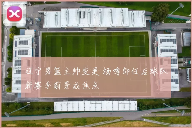 辽宁男篮主帅变更 杨鸣卸任后球队新赛季前景成焦点