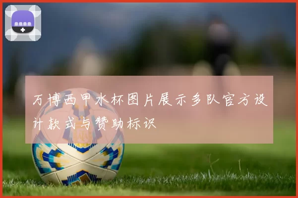 万博西甲水杯图片展示多队官方设计款式与赞助标识