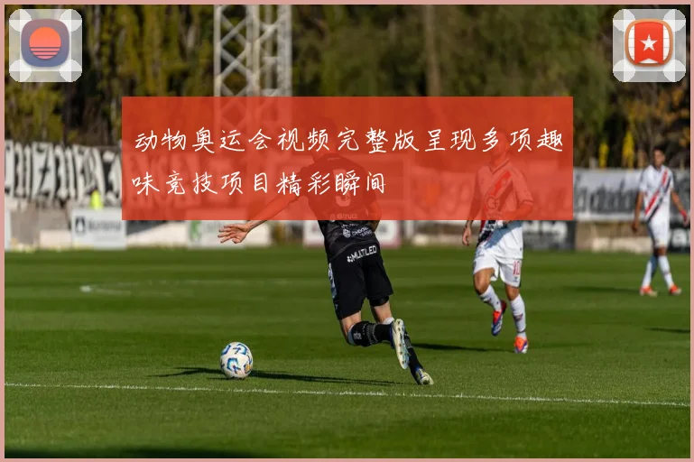 动物奥运会视频完整版呈现多项趣味竞技项目精彩瞬间