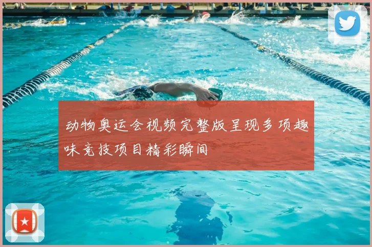 动物奥运会视频完整版呈现多项趣味竞技项目精彩瞬间